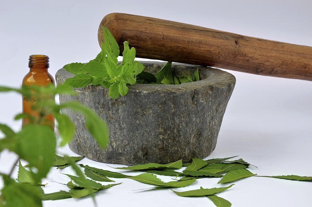 Basil leaves are best home remedy for mouth ulcer
